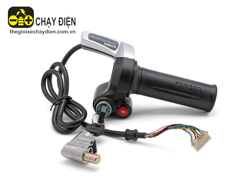 Yamaha h4-Tay ga 48V thường được thay thế như thế nào? chất lượng Yamaha h4-Tay ga 48V thường được thay thế như thế nào?
